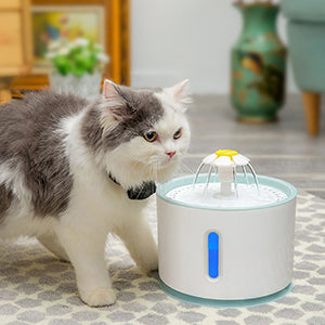 World's No.1 Best Selling Pet Fountain ! 2.4L